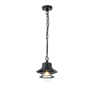 Lampa wisząca metalowa czarna IP44 COPENHAGEN8-BK z serii COPENHAGEN - Elstead Lighting