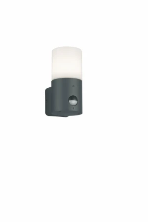Kinkiet zewnętrzny z czujnikiem ruchu E27 IP44 HOOSIC 222260142 - Trio