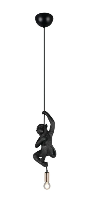 Lampa wisząca nowoczesna FIPS R36551002 - RL