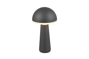 Przenośna lampka zewnętrzna LED 2W IP54 CCT + ściemniacz FUNGO czarna R57716142 - RL