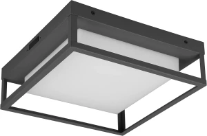 Lampa sufitowa zewnętrzna  IP54 CCT 10,5W LED WITHAM 677860142 - Trio