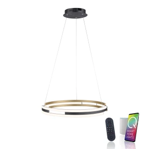 Lampa wisząca na pilota i aplikację smart Q-BELUGA 2051-60 - Paul Neuhaus