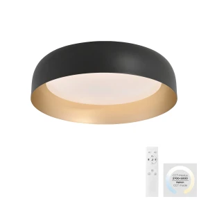 Lampa sufitowa OSKO 14215-18 - Paul Neuhaus