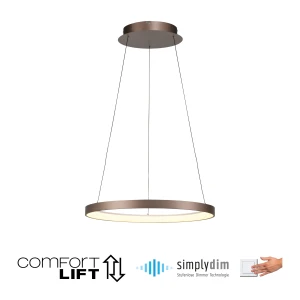 Lampa wisząca HOOP 2851-36 - Paul Neuhaus