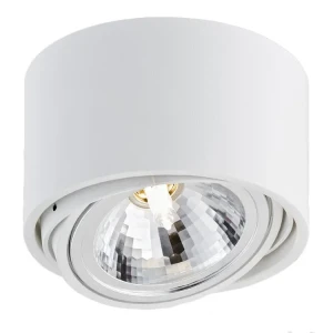 Oprawa sufitowa reflektor jednopunktowy LUMOS 70251101 - Kaspa