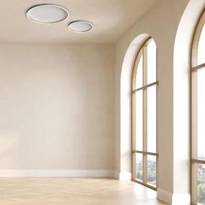 LED LIGHT Stylowy plafon sufitowy LED CCT szczotkowane srebro 25161 Zambelis