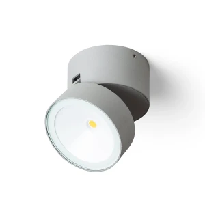 Reflektor LED zewnętrzny szary regulowany 9cm IP54 R14200 - Rendl