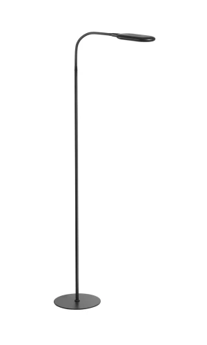 Lampa podłogowa ROBIN czarny 10W 620lm CCT zmienna barwa, ściemniacz 8421797772499 - MDC