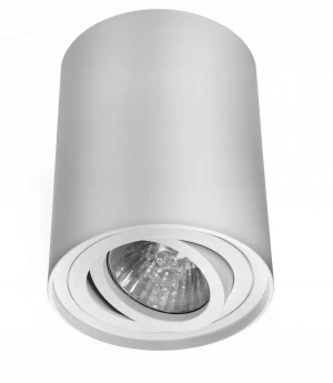 Tuba GU10 sufitowa okrągłą lampa biała bross regulowana 163 - Decorativi
