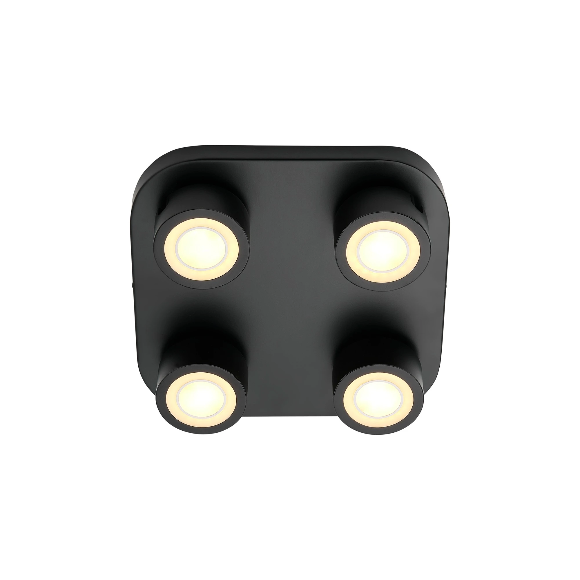 Lampa sufitowa Clyde NO2412256003 - Nordlux