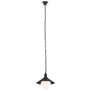 Lampa loft wisząca ERBA BIS 3285 ogrodowa  - Argon