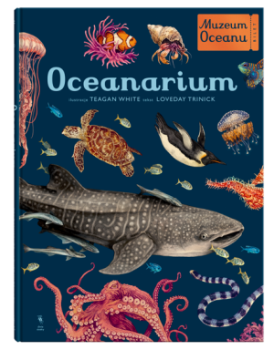 Oceanarium - muzeum oceanu - loveday trinick - dwie siostry