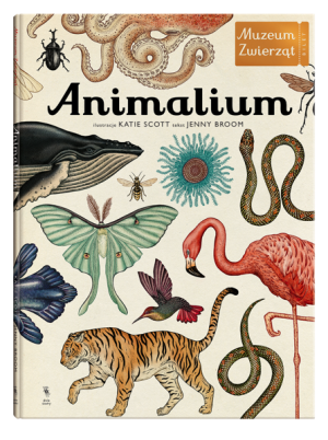 Animalium - muzeum zwierząt - jenny broom - wydawnictwo dwie siostry