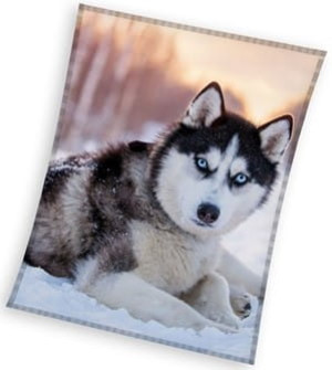 Koc Polarowy Narzuta 150x200 Husky Pies