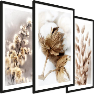 Zestaw obrazów - Fotografie beżowych roślin - wymiary 45x65 cm