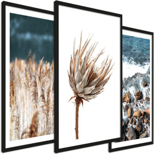 Zestaw obrazów do salonu - Fale, protea, trawy w stylu boho - wymiary 45x65 cm