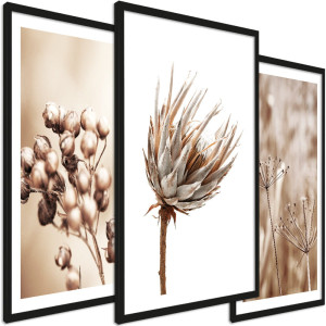 Zestaw obrazów - Suszone trawy w beżach styl boho - wymiary 45x65 cm