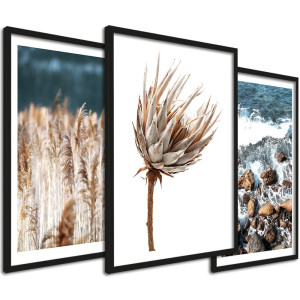 Zestaw obrazów do salonu - fale, protea, trawy w stylu boho 33x43 cm