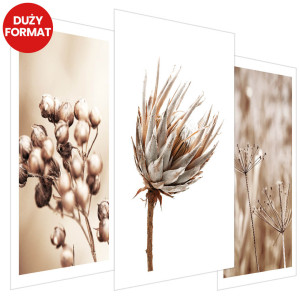 Plakaty - Boho rośliny 3 szt (bez obramowania) - 42x62 cm