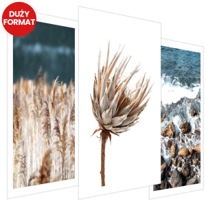 Plakaty - Nowoczesne zdjęcia rośliny 3 szt (bez obramowania) - 42x62 cm