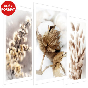 Plakaty - Fotografie beżowych roślin 3 szt (bez obramowania) - 42x62 cm