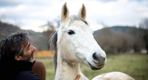 Cap Adrénaline Balade à cheval à Cabrerets près de Cahors