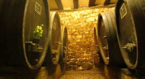 Cap Adrénaline Visite de cave et dégustation de vins alsaciens à Eguisheim près de Colmar