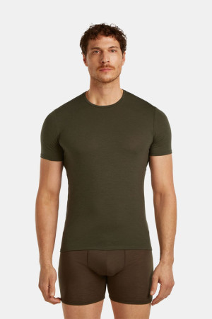 icebreaker Anatomica S/S Crewe T-Shirt Groen M