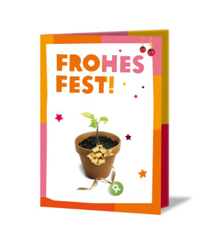 OxfamUnverpackt Frohes Fest 10 Junge Bäume