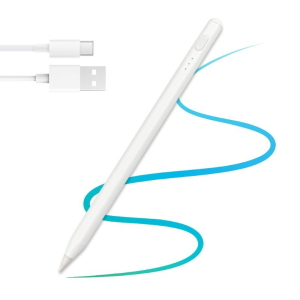 iS Caneta iPad