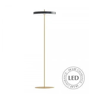 Lampa podłogowa Asteria, antracyt