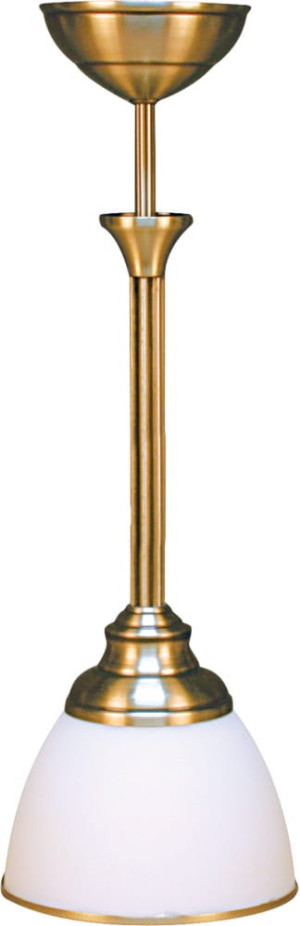 Zwis BN463