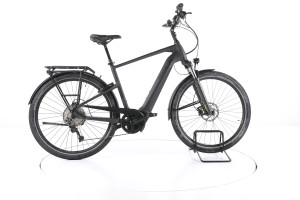 Pegasus Savino EVO 10 CX Trekking E-Bike - 55 cm