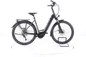 Pegasus Strong EVO 10 Trekking E-Bike Tiefeinsteiger - 55 cm