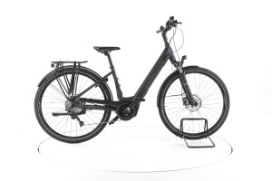 Wittich Bi 10.2 Trekking E-Bike Tiefeinsteiger - M / 45