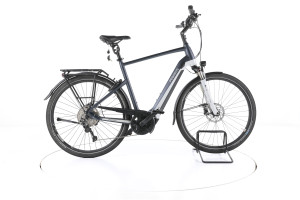 Pegasus Premio EVO 10 Trekking E-Bike - 60