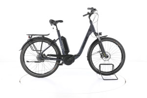 Raleigh Kingston 8 City E-Bike Tiefeinsteiger - L / 55 cm