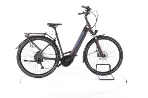 Pegasus Solero Evo 9 Trekking E-Bike Tiefeinsteiger - 50cm