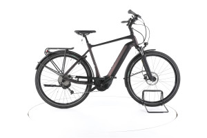 Giant DailyTour E+ 3 Trekking E-Bike - L