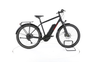 Diamant Zing+ Gen 1 Trekking E-Bike - L
