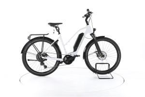Diamant Zing Trekking E-Bike - M