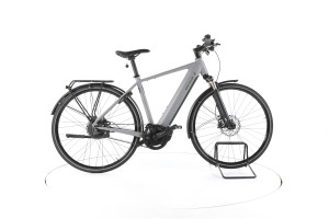 Riese & Müller Roadster Vario City E-Bike - 51