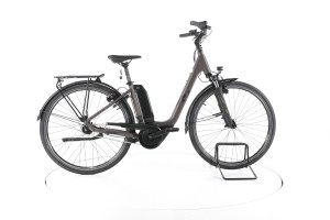 R Raymon Cityray E 2.0 City E-Bike Tiefeinsteiger - 45