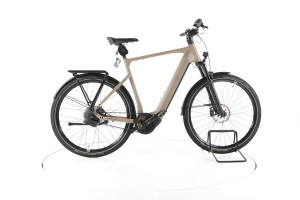 Rose Mayor Plus 3 Trekking E-Bike 2024 - L