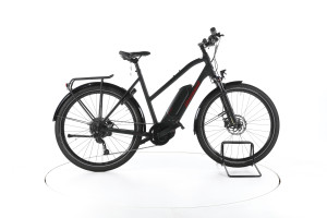 Diamant Zing+ Gen 1 Trekking E-Bike - L