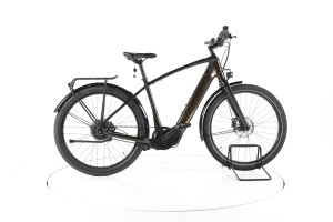 Diamant Opal Esprit+ City E-Bike - L