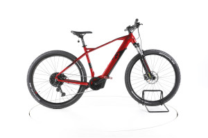 R Raymon HardRay E 4.0 E-Bike - L