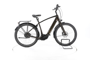 Diamant Opal Esprit+ Trekking E-Bike - L