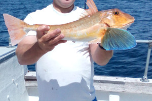 Full Day 8 Hour Deep Sea Fishing Experience Suitable For All Experience Levels With Equipment Provided + An Experienced Skipper On Board