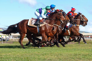 2 Month Elite Racing Club Membership And Enjoy Discounts, Stable Visits + Prize Money & A Free Weekly Magazine